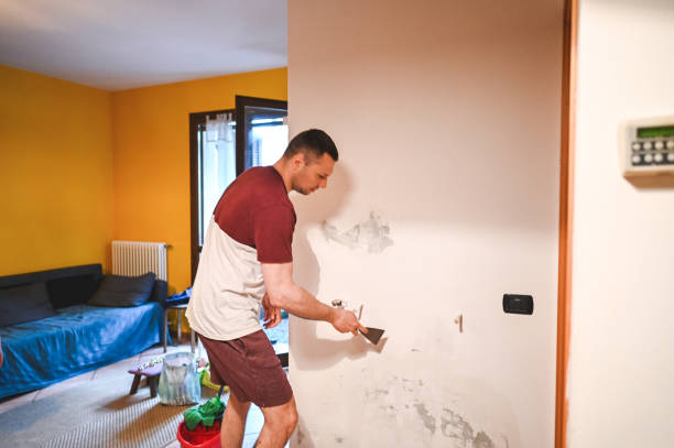 Best Water Damage Restoration  in Beacon Hill, WA